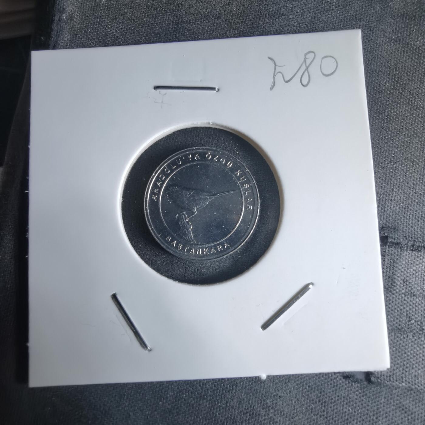 沼泽如烟--第1032场 土耳其小鸟