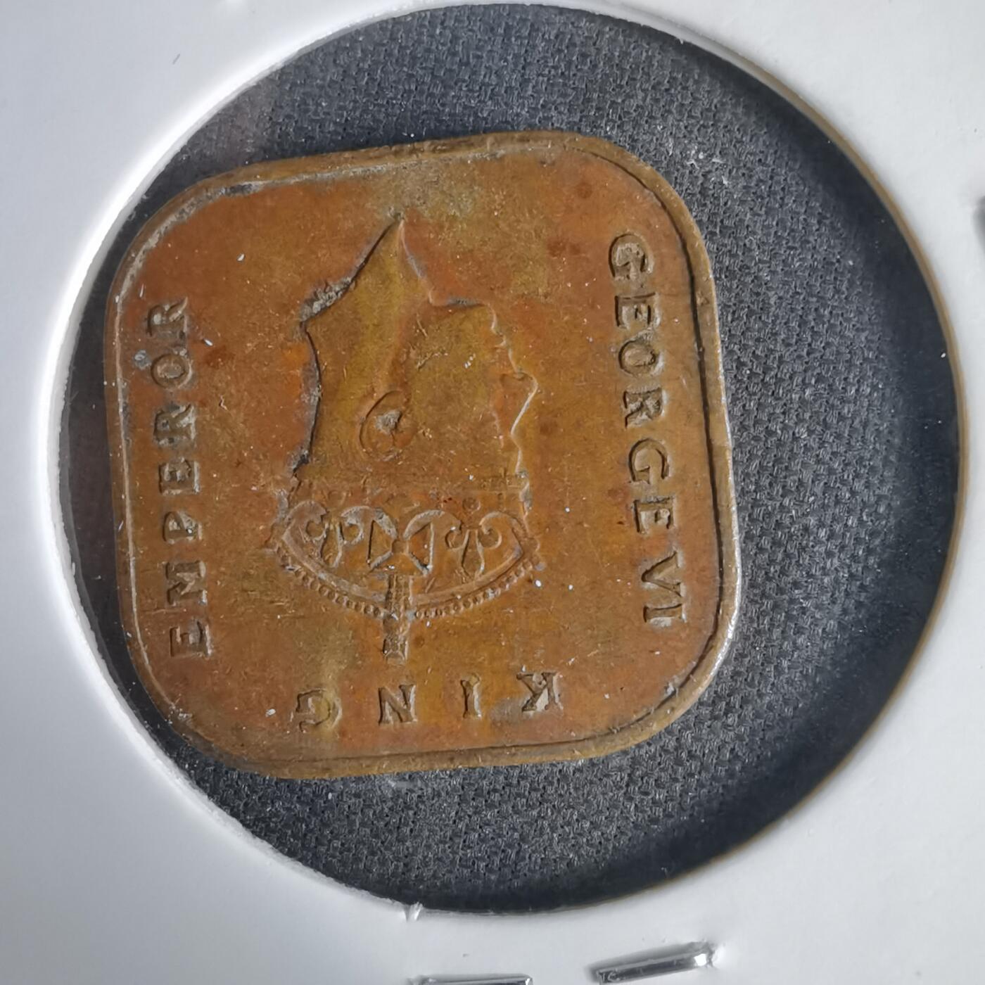 沼泽如烟--第1031场