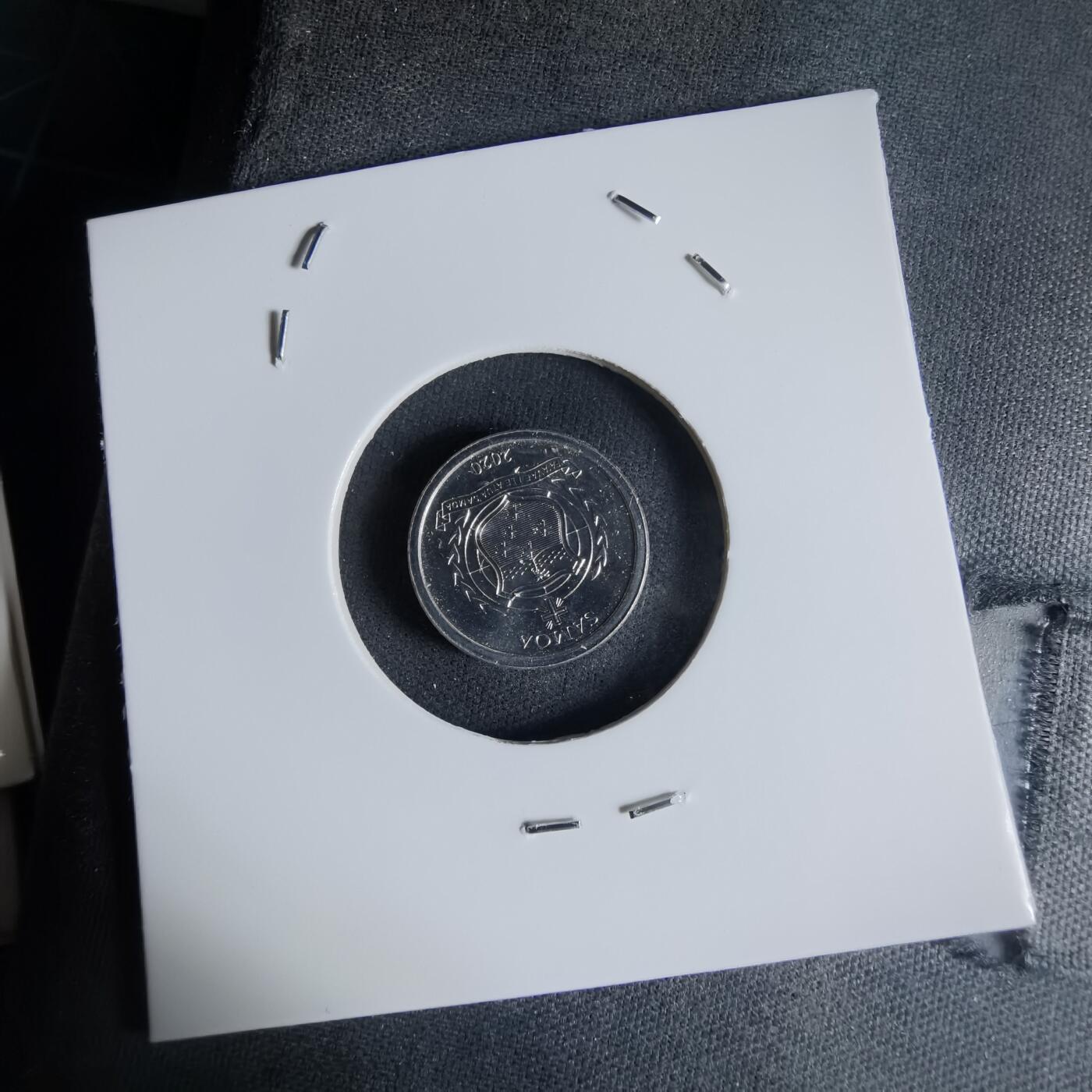 沼泽如烟--第1032场 萨摩亚小鸟