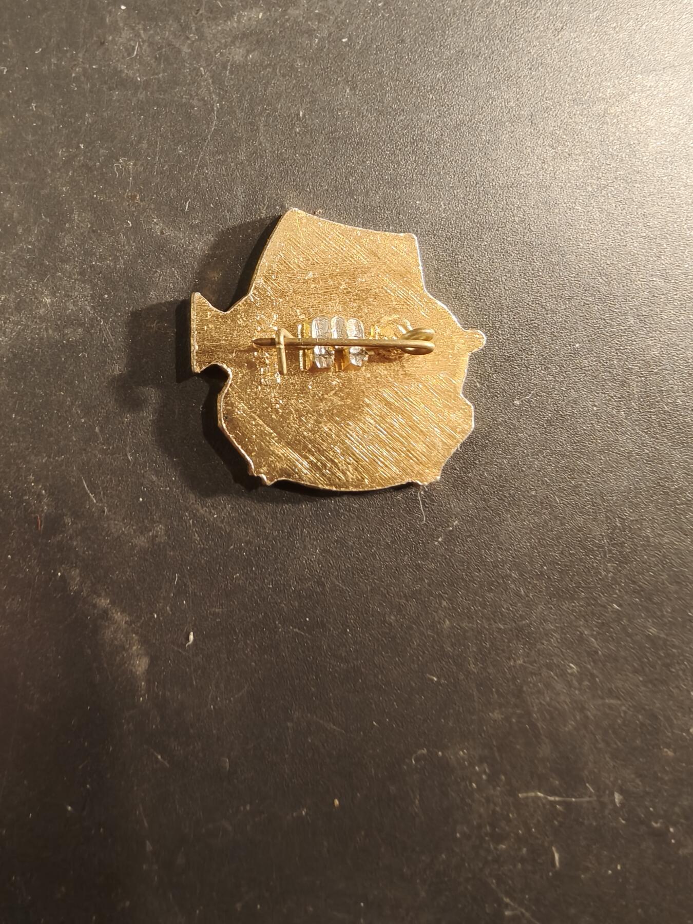 老王徽章第189期 苏联阿尔铁克先锋夏令营徽章