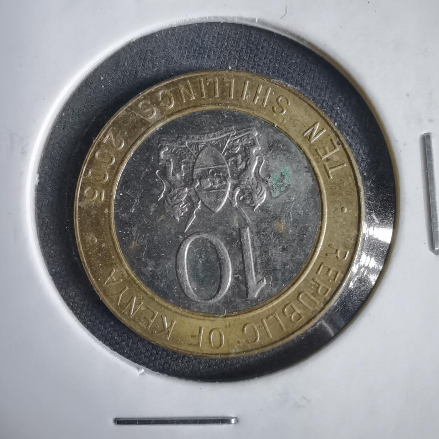 沼泽如烟--第1031场