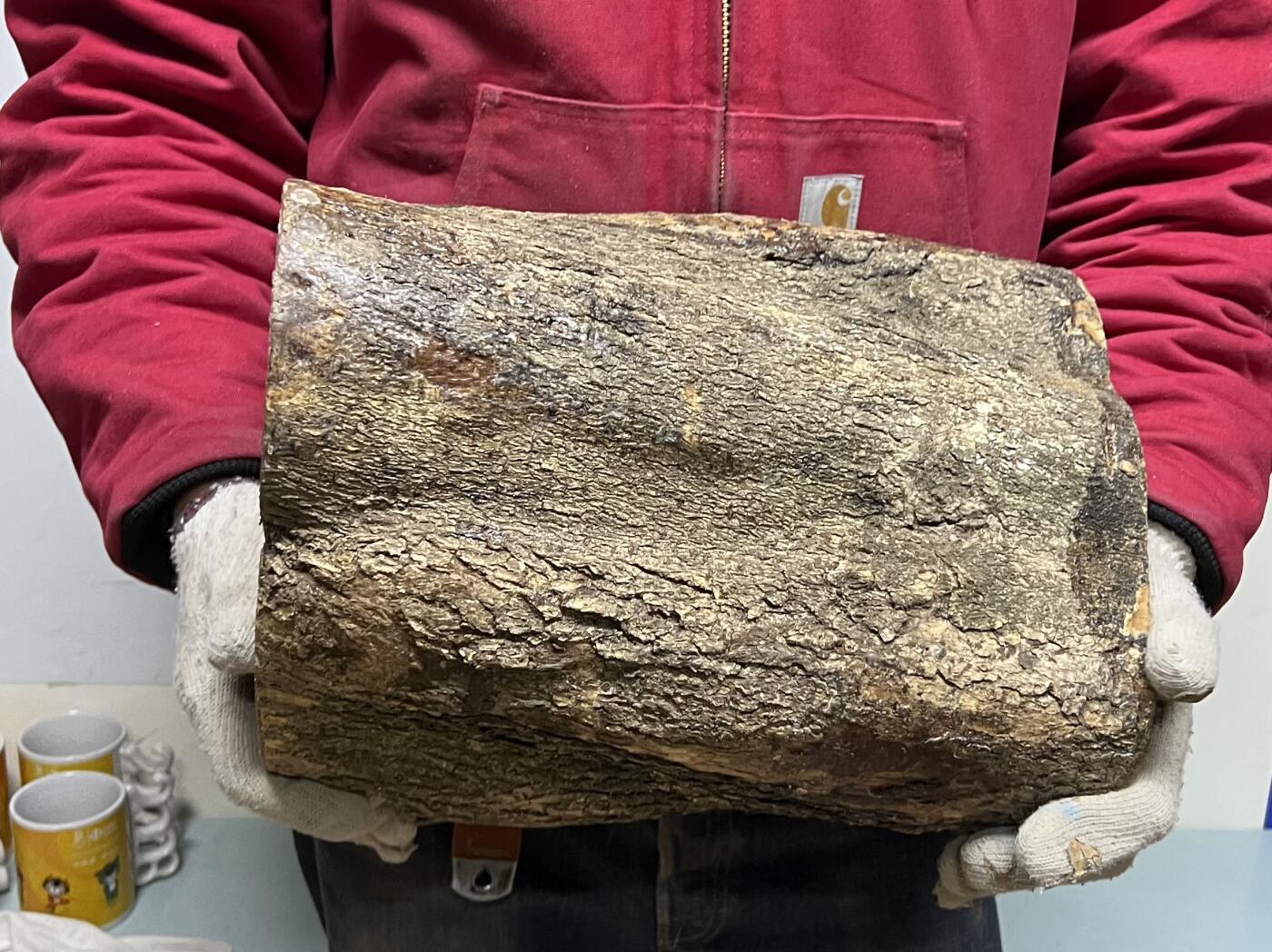 零元拍：金丝楠圆墩凳子摆件，重量11.6公斤。高：320高/285/240MM。