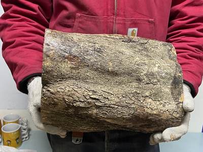 零元拍：金丝楠圆墩凳子摆件，重量11.6公斤。高：320高/285/240MM。 - 零元拍：金丝楠圆墩凳子摆件，重量11.6公斤。高：320高/285/240MM。