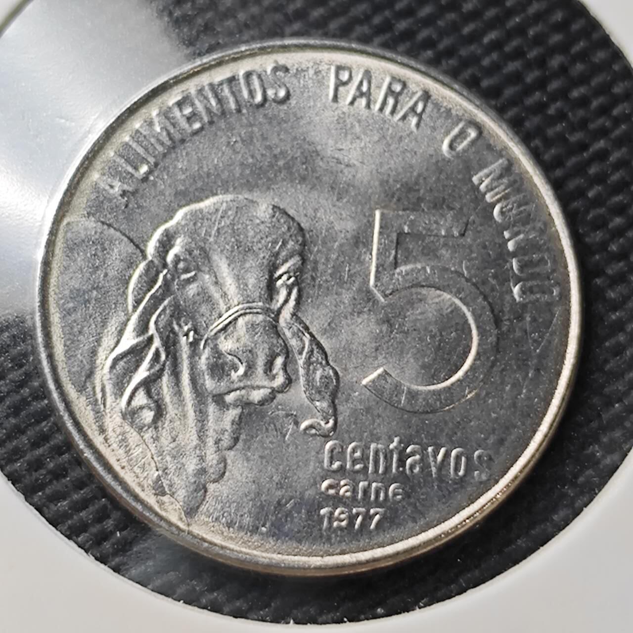 KK钱币收藏小铺  第407期 2月预留时间 周末发货  巴西5分纪念币