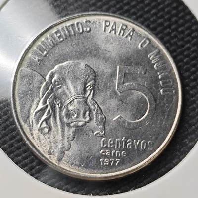 KK钱币收藏小铺  第407期 2月预留时间 周末发货 -  巴西5分纪念币