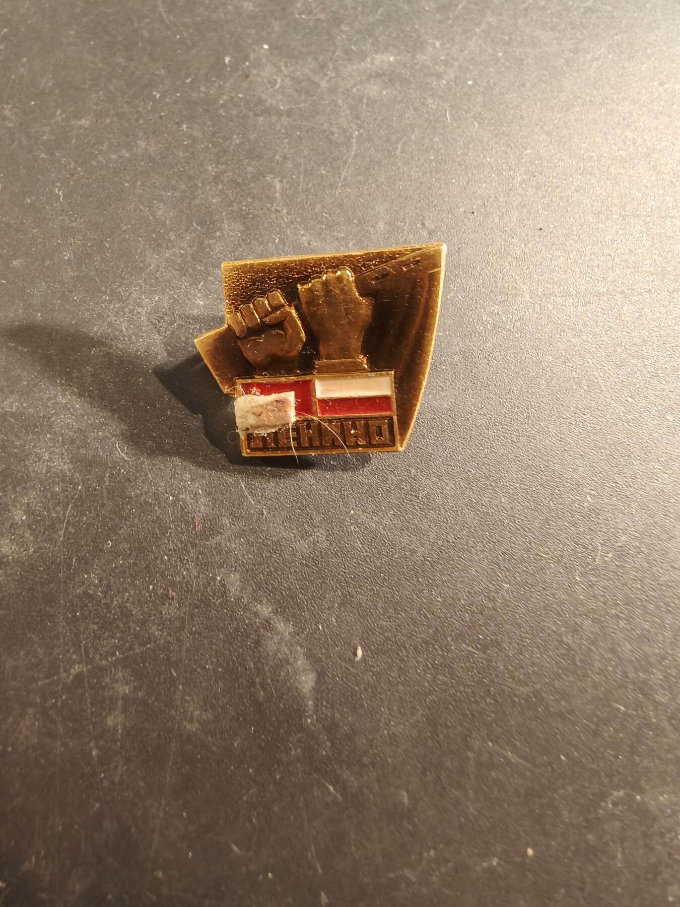 老王徽章第189期 波兰人民共和国莱宁诺战役徽章