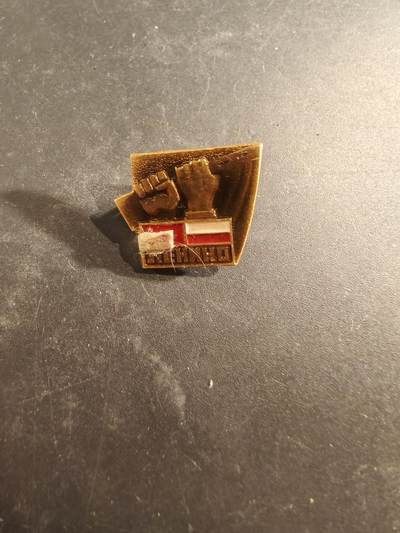 老王徽章第189期 - 波兰人民共和国莱宁诺战役徽章