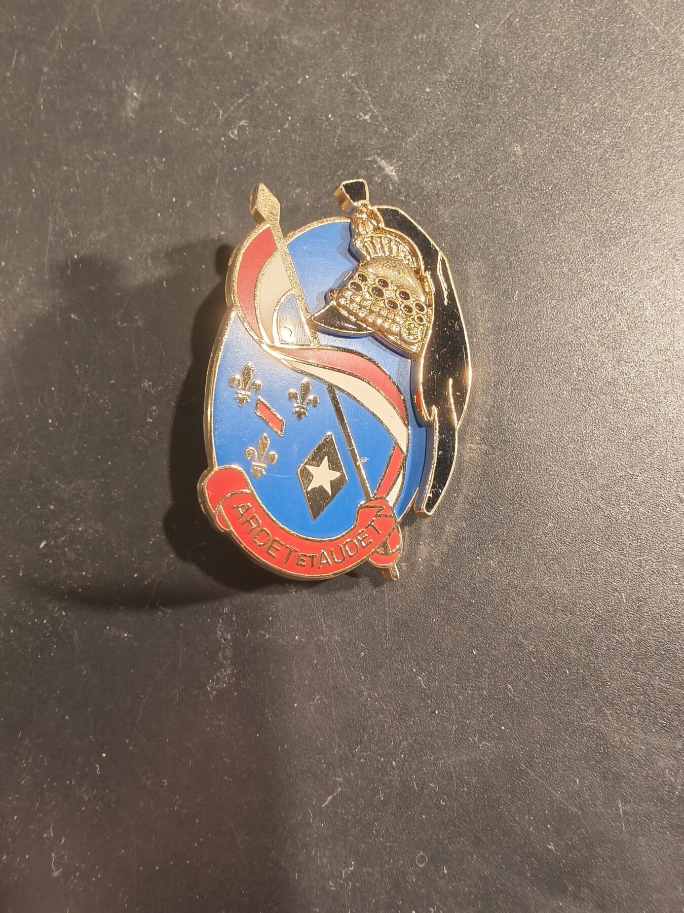 老王徽章第189期 法国陆军第3龙骑兵团证章      该团成立于1649年，并在1997年解散。 