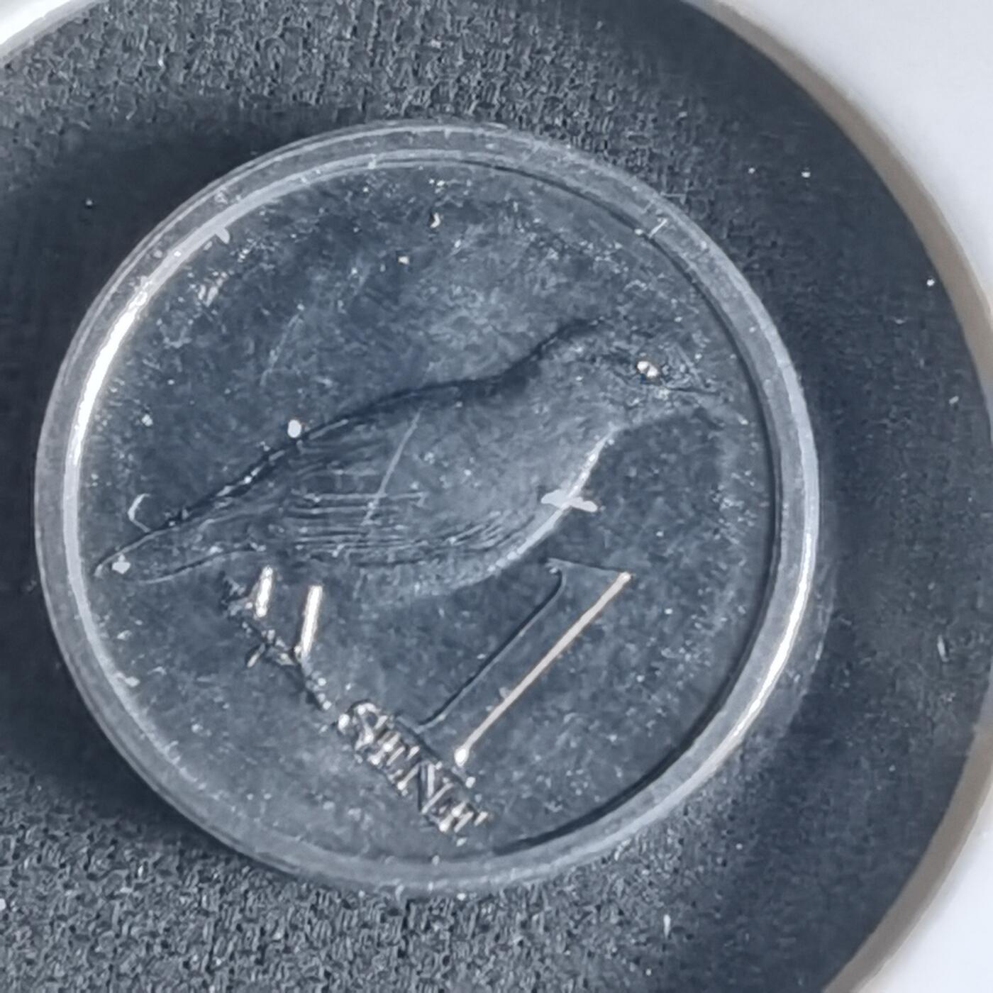 沼泽如烟--第1032场 萨摩亚小鸟