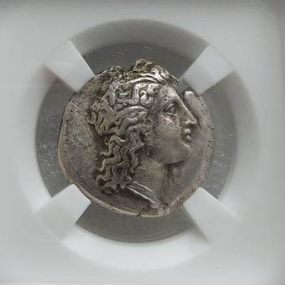 瓶子🏺第234期拍卖会 -  古希腊梅塔蓬城德墨忒耳女神银币，公元前350年至前290年，是南意大利“大希腊”地区梅塔蓬城邦发行的1诺姆斯面值银币，重7.13克。 正面为丰收女神德墨忒耳的侧面头像，背面图案为一株饱满的大麦穗，象征丰收与富足。梅塔蓬城位于今意大利南部，由希腊移民于公元前700年左右建立