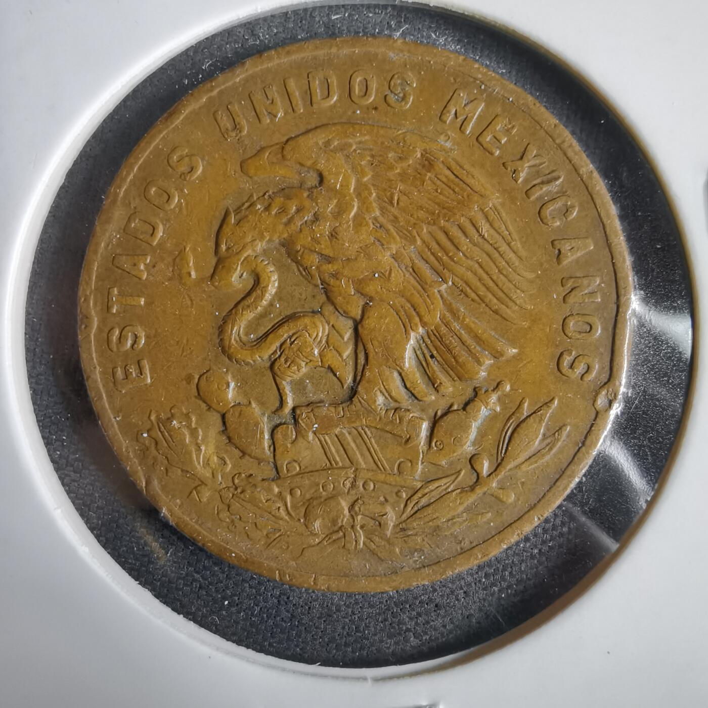 沼泽如烟--第1031场