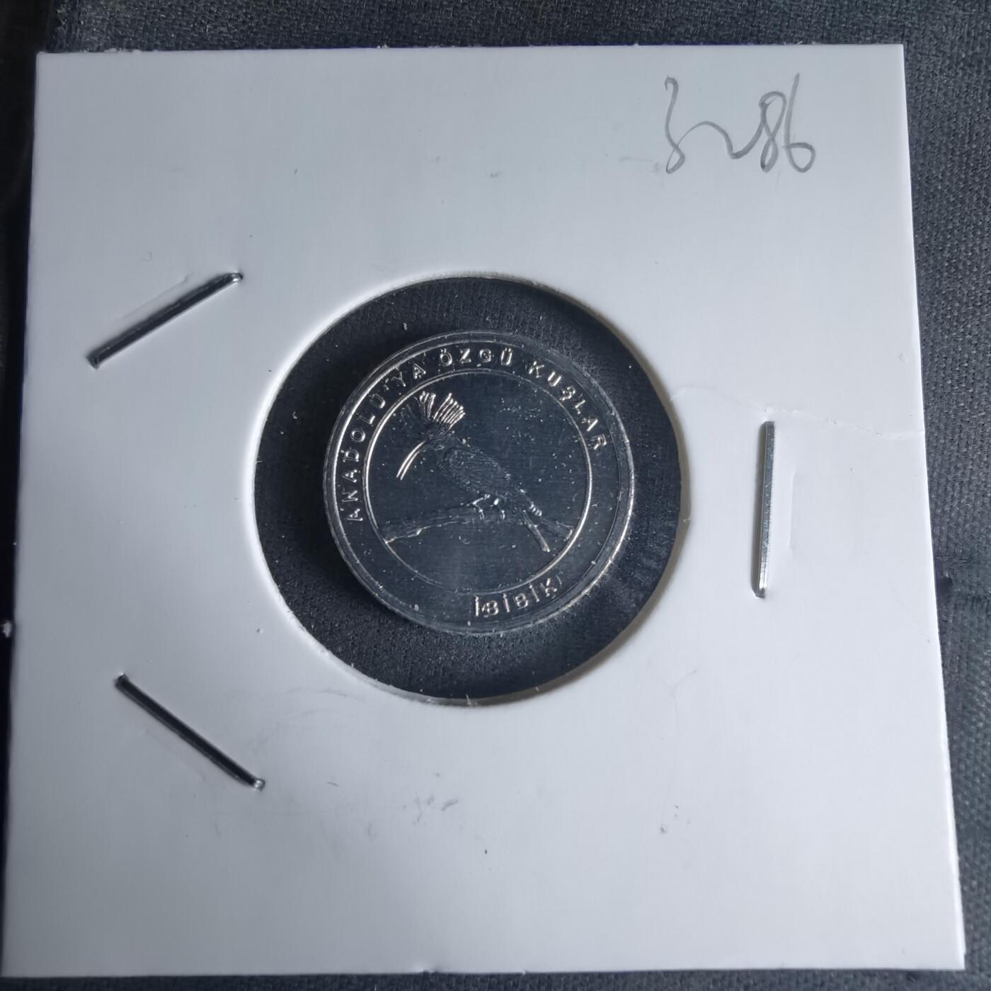 沼泽如烟--第1032场 土耳其小鸟