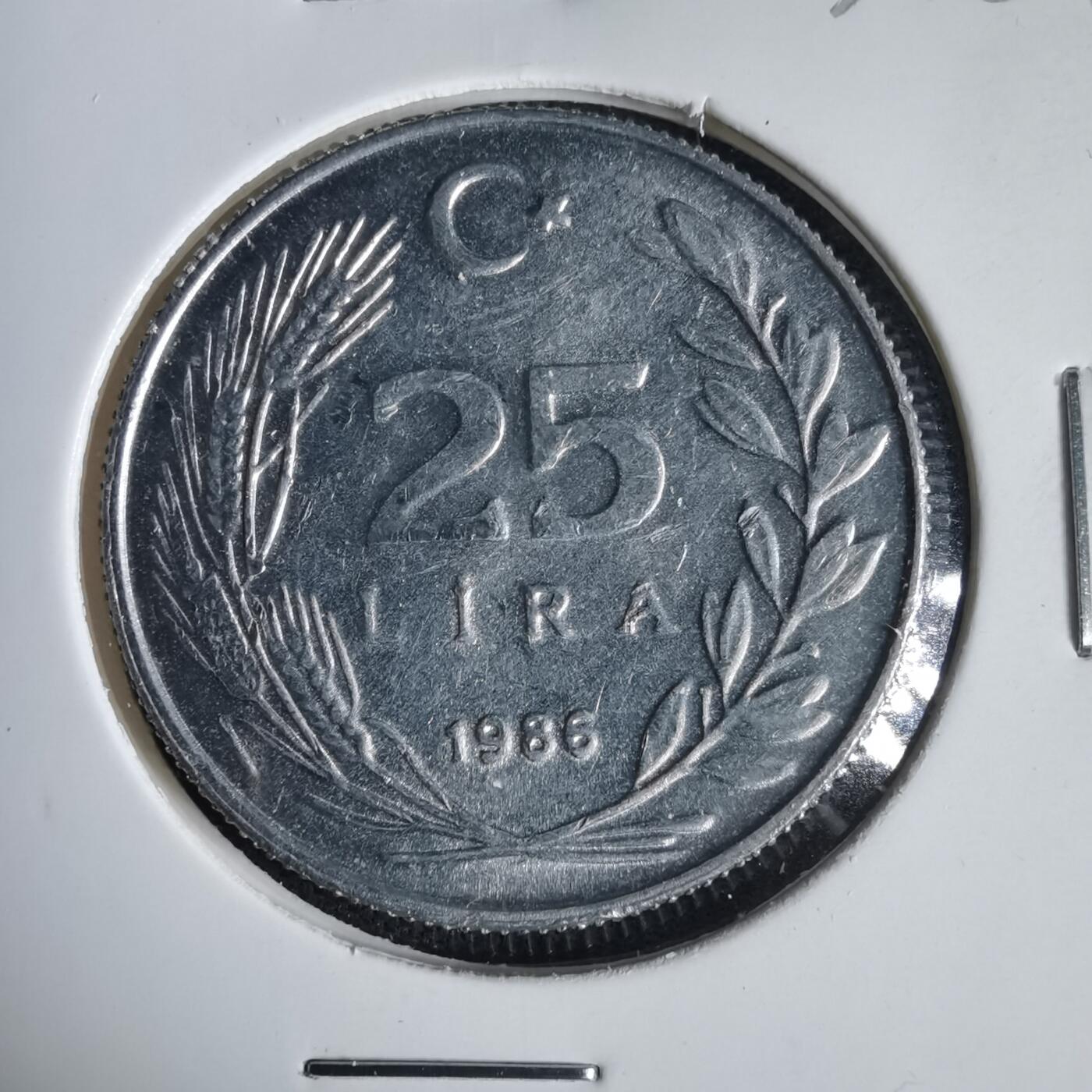 沼泽如烟--第1031场