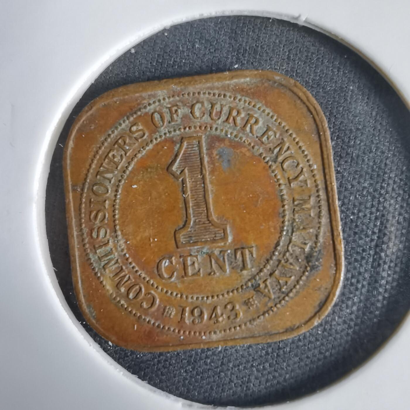 沼泽如烟--第1031场