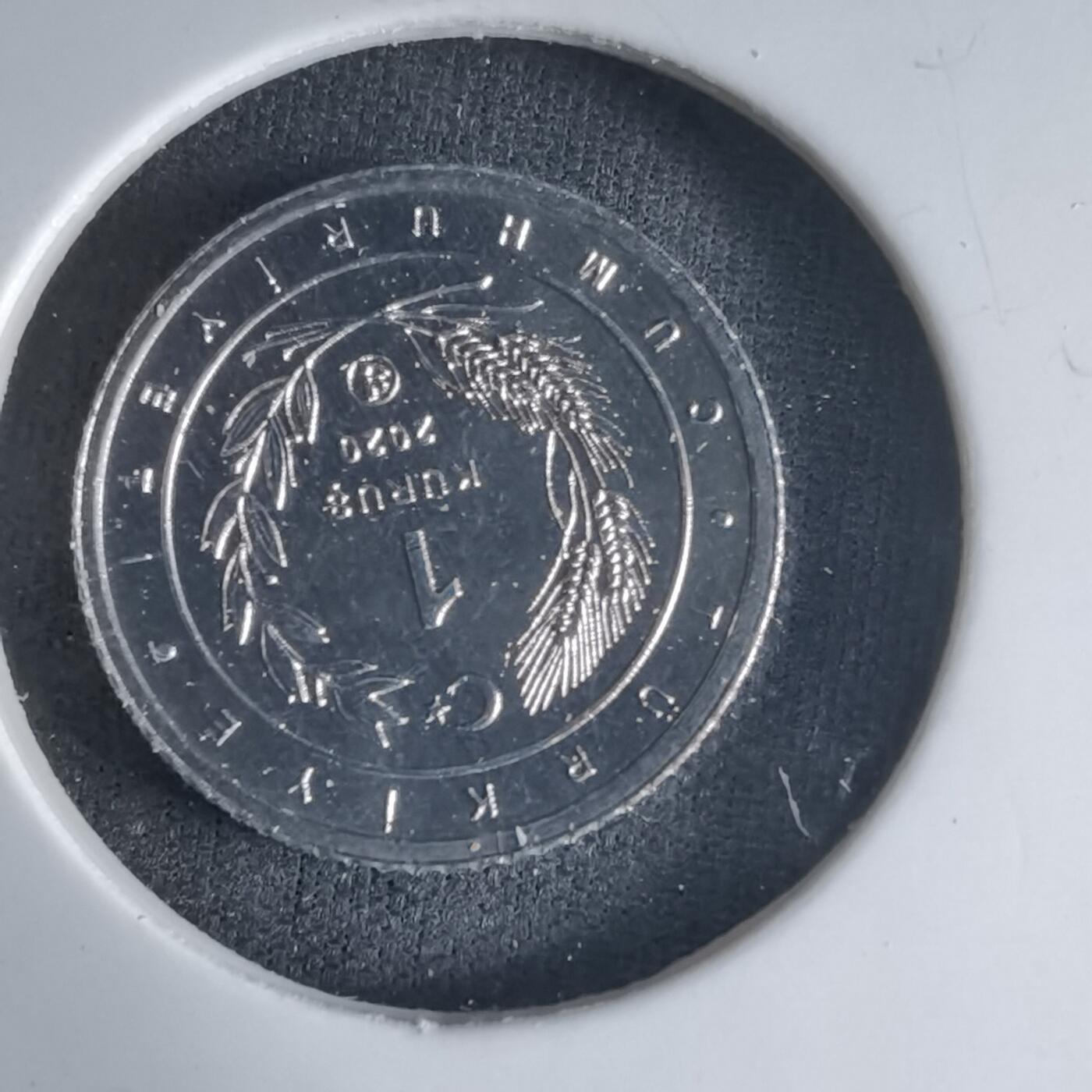 沼泽如烟--第1032场 土耳其小鸟