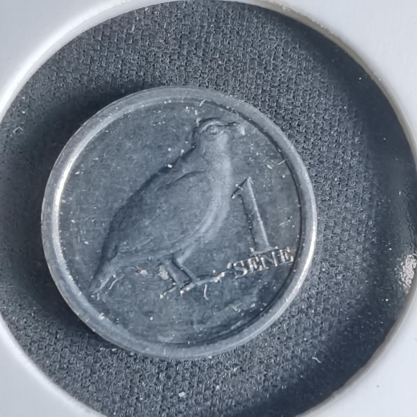 沼泽如烟--第1032场 萨摩亚小鸟