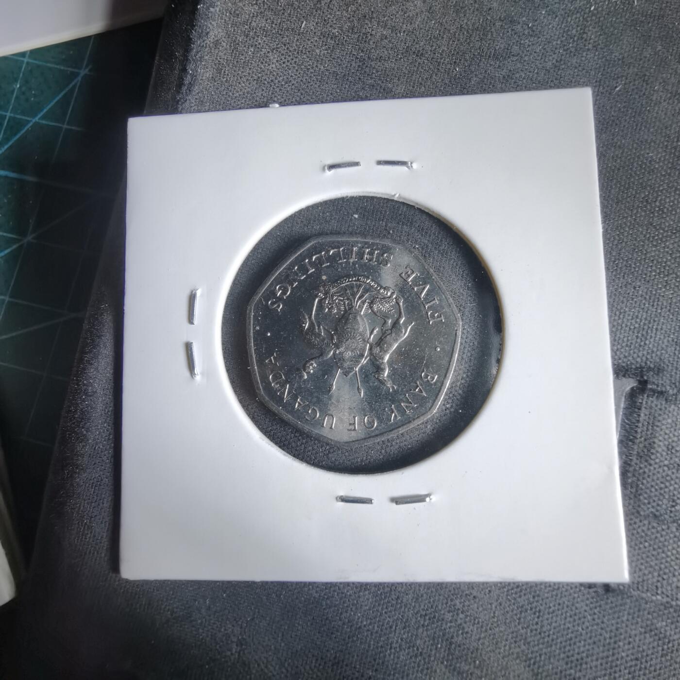 沼泽如烟--第1031场