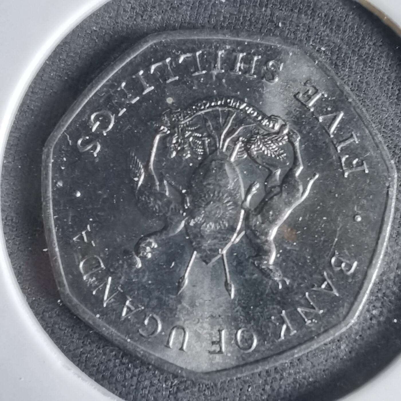 沼泽如烟--第1031场