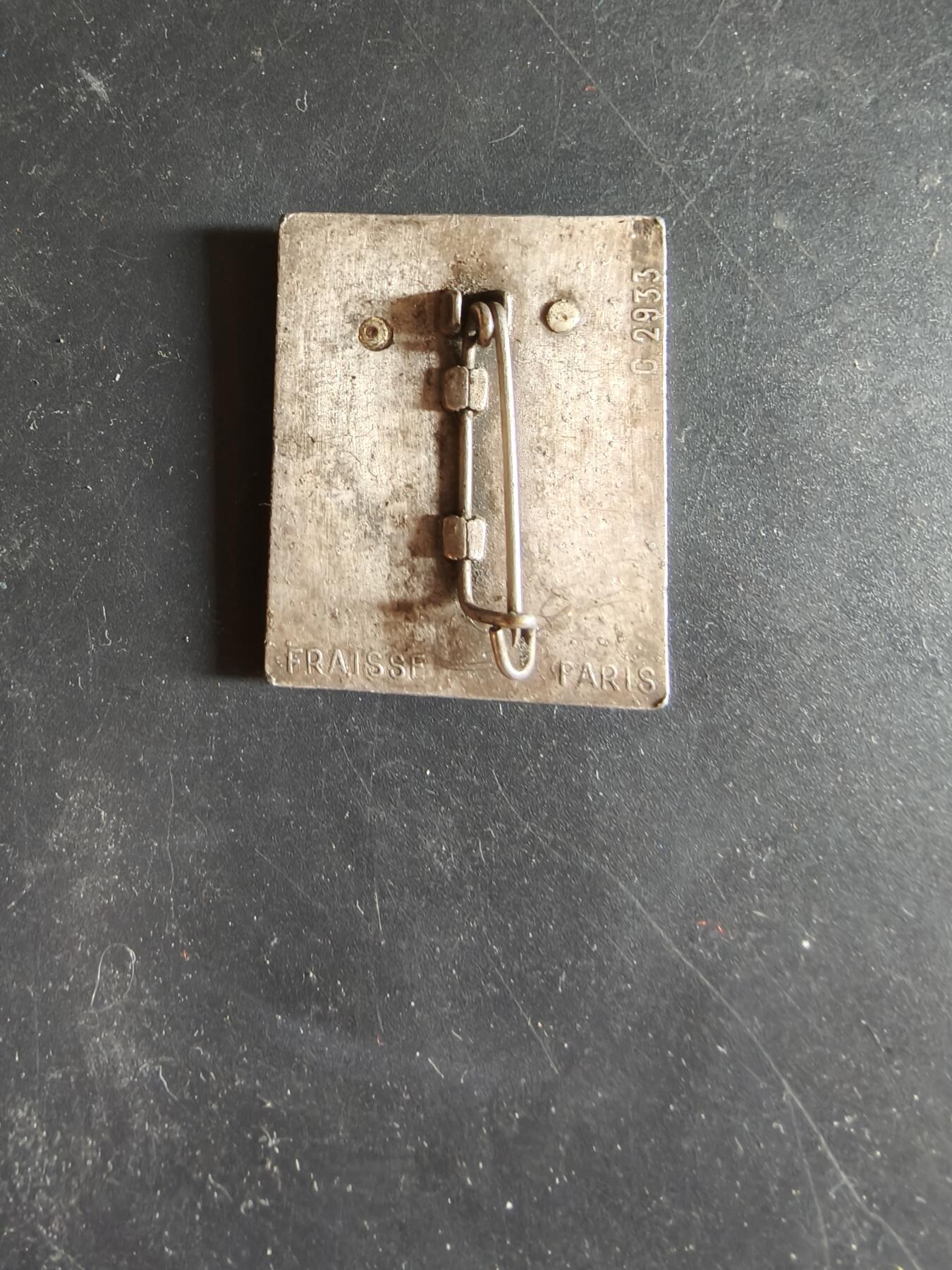 老王徽章第189期 法国陆军第45通信团证章