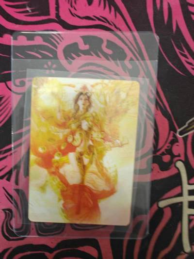 寸草不生拍卖 蛇年第一期 - 2025 焱卡文化  刷子 孙尚香 光栅一张