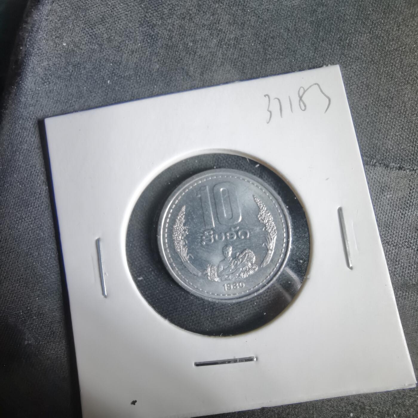 沼泽如烟--第1031场