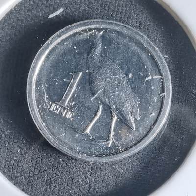 沼泽如烟--第1032场 - 萨摩亚小鸟