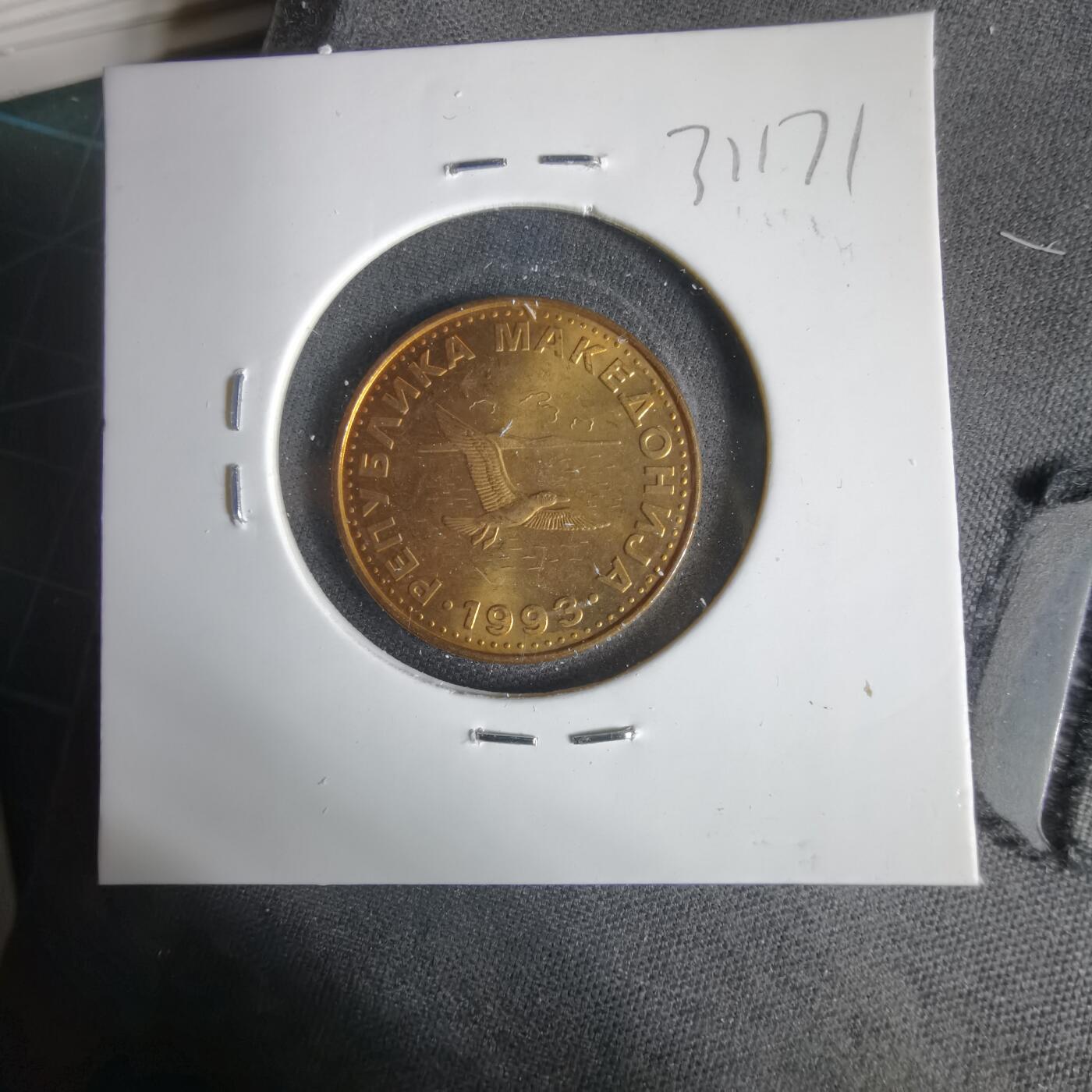 沼泽如烟--第1031场