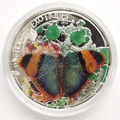 博洋堂“芳菲春韵”3月精品大拍专场暨第166期（全场包邮） - 中非2014年1000中非法郎精制银币 异域彩蝶-黄带栎蛱蝶（带3D彩蝶模型） 25克925银 发行量：2500 带证