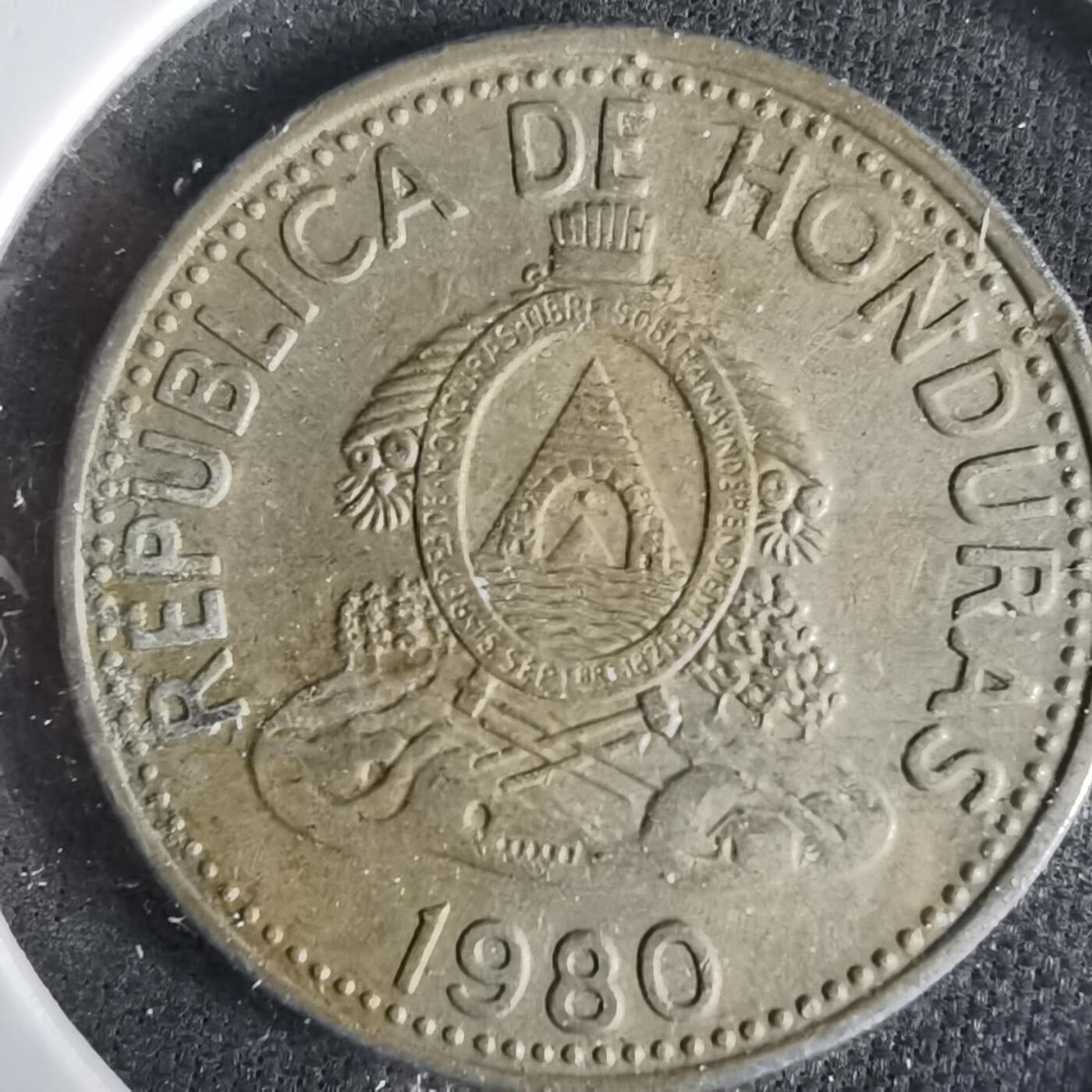 沼泽如烟--第1031场