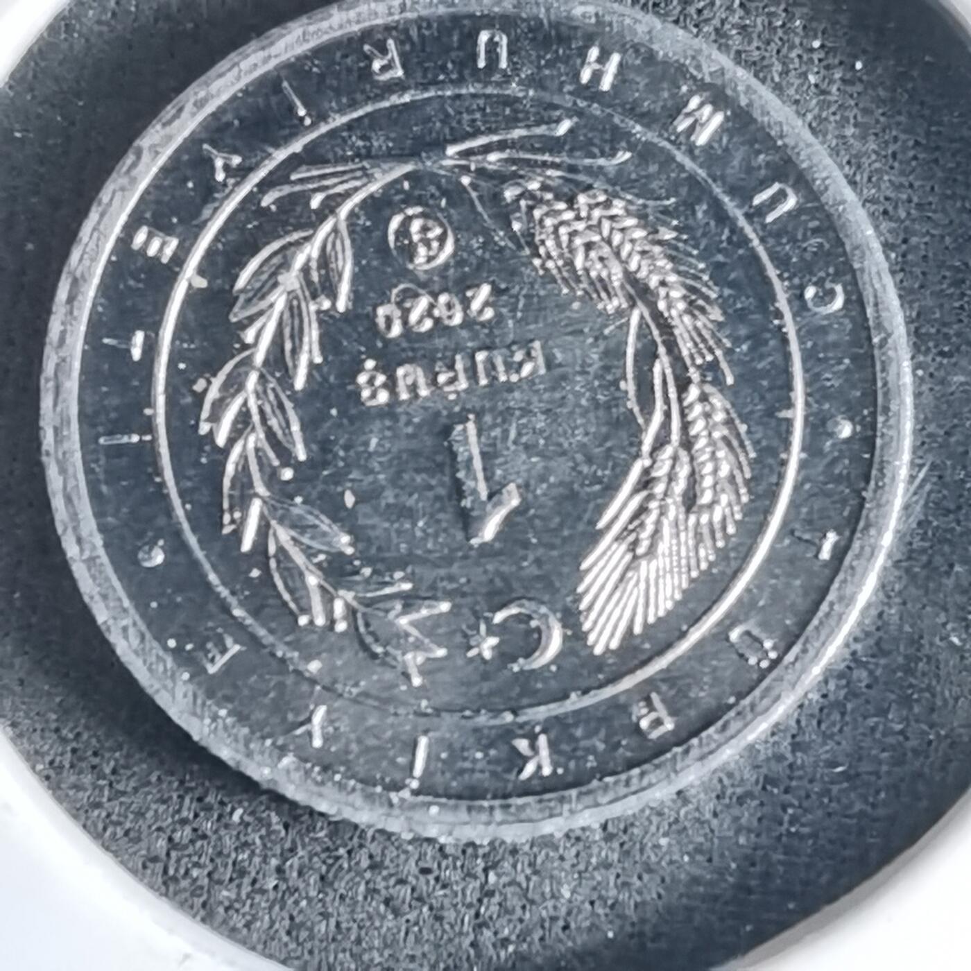 沼泽如烟--第1032场 土耳其小鸟