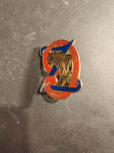 老王徽章第189期 - 法国陆军第9祖阿夫步兵团证章     该团成立于1914年绰号为“阿尔及利亚的豺狼”和“凡尔登的猛虎”，揭示了其在起源地阿尔及利亚和一战时期凡尔登战役的杰出表现 