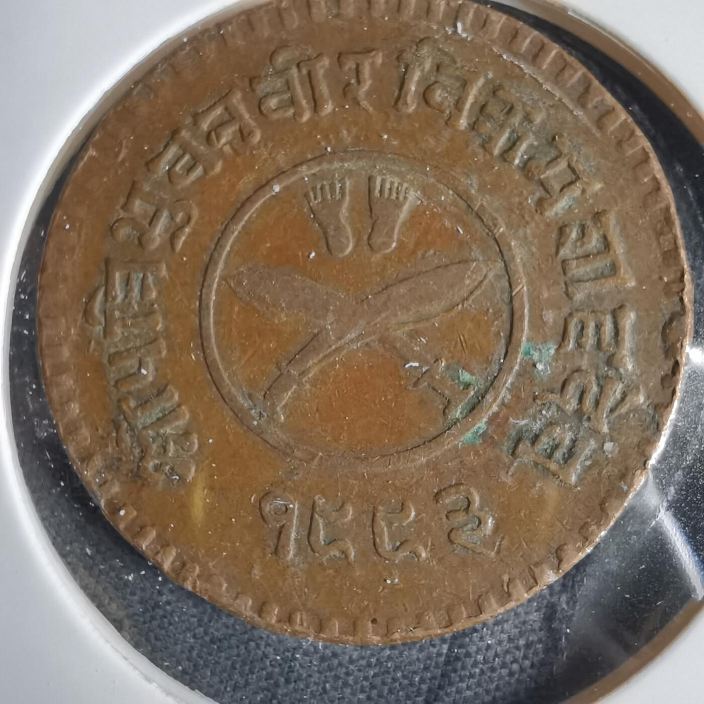 沼泽如烟--第1031场