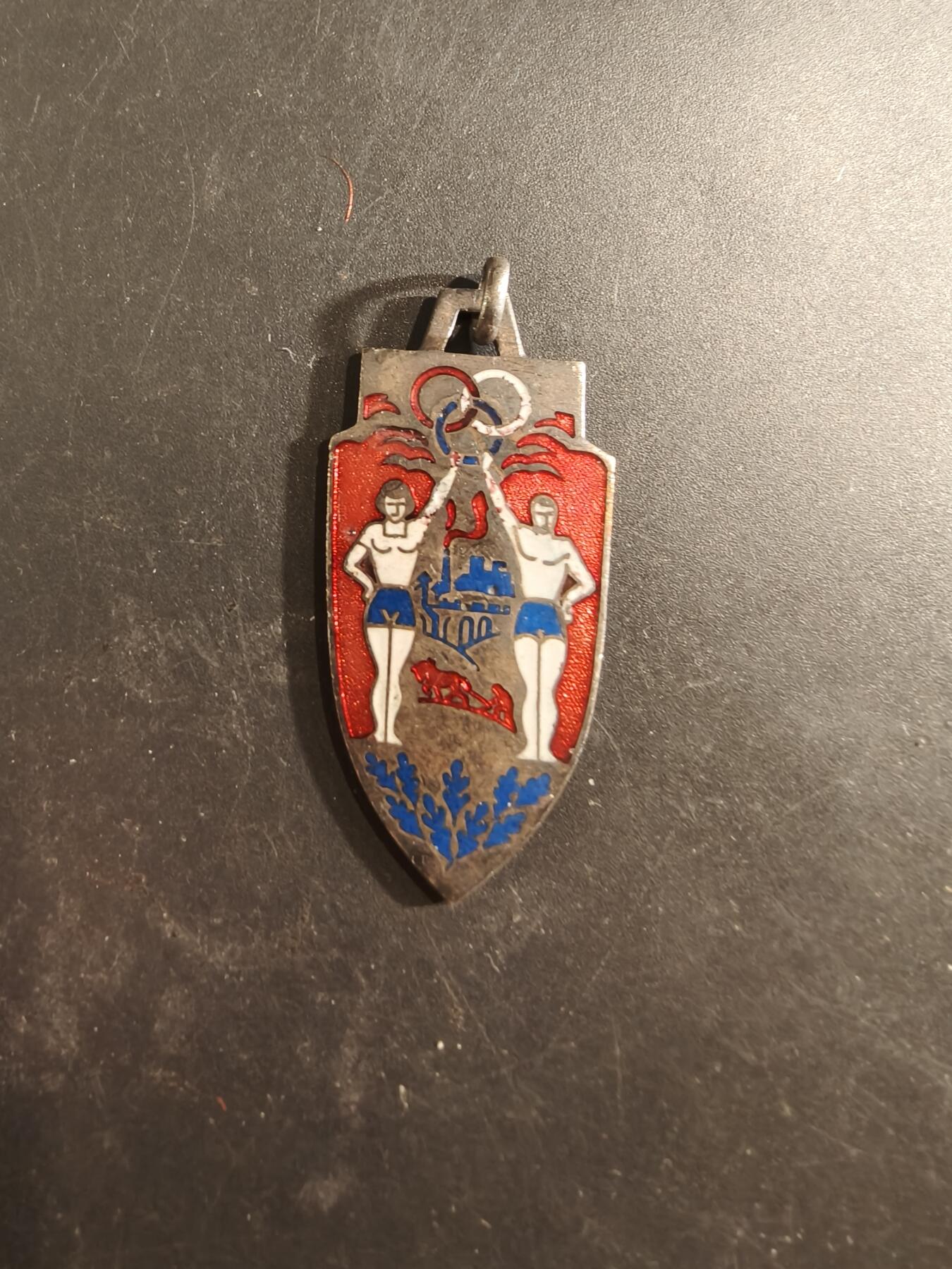 老王徽章第189期 法国青年运动会纪念章