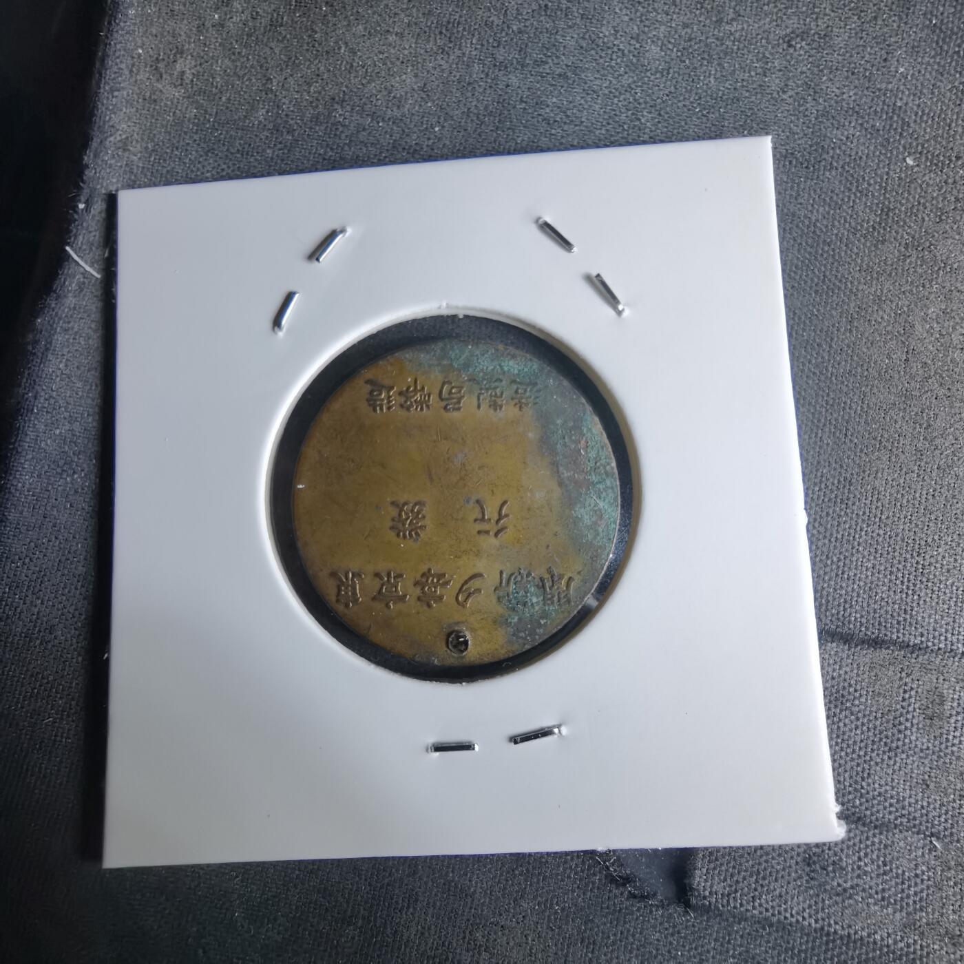 沼泽如烟--第1032场 纪念章