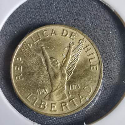 沼泽如烟--第1031场 - 智利1988年5比索