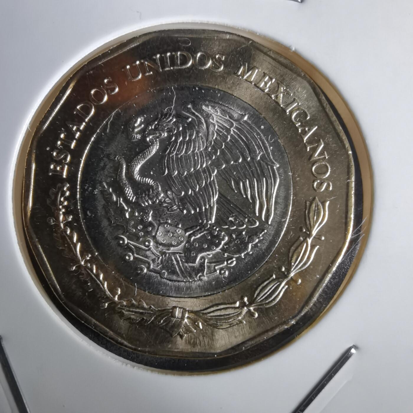 沼泽如烟--第1032场