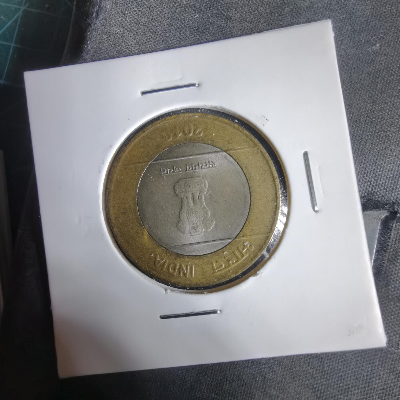 沼泽如烟--第1031场