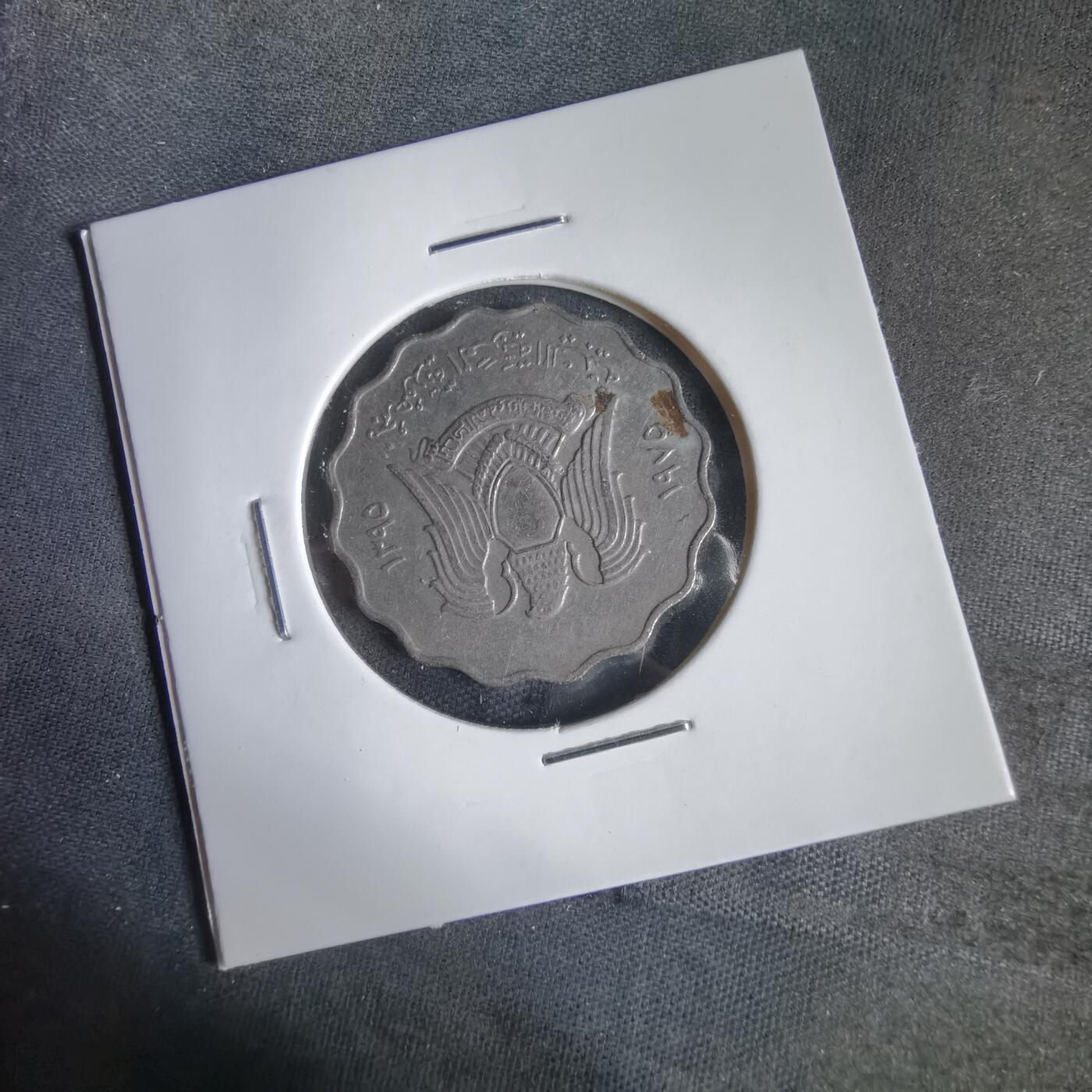 沼泽如烟--第1031场