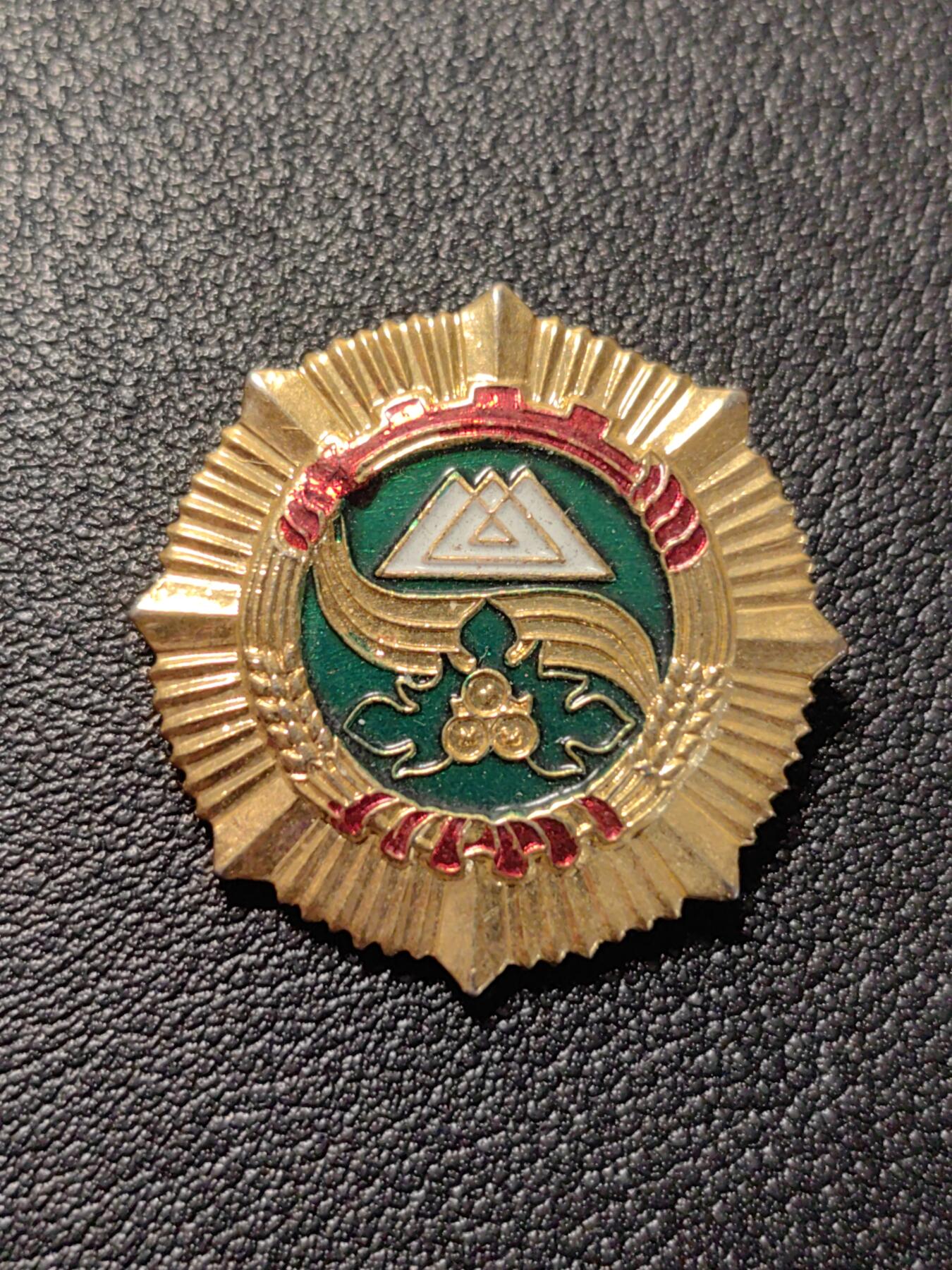 靖甫拍卖第七场 柯尔克孜自治州服务奖章