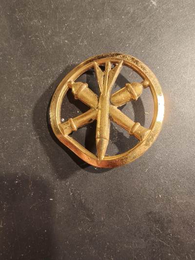 老王徽章第189期 - 法国炮兵贝雷帽徽   金色