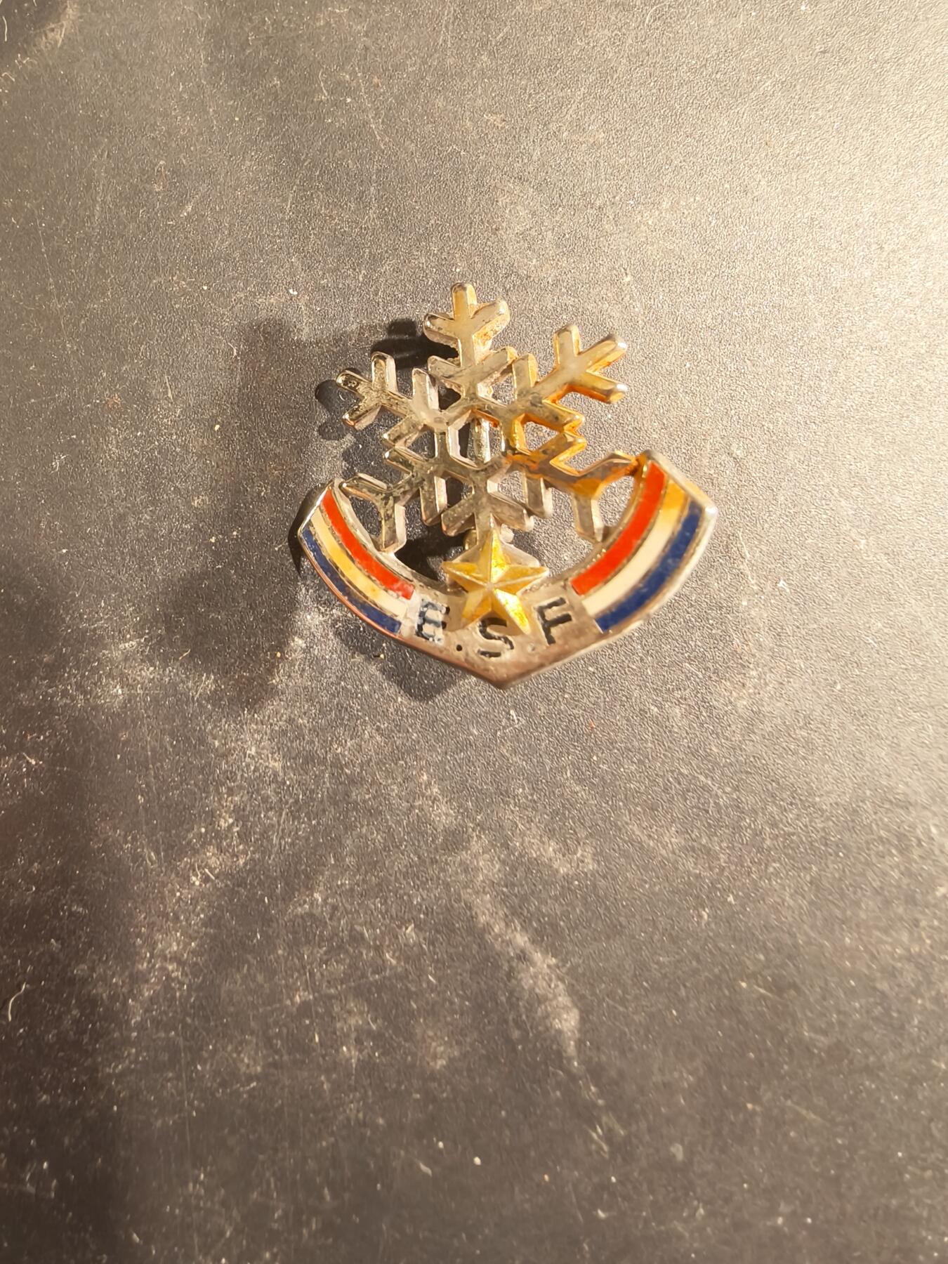 老王徽章第189期 法国山地滑雪学校证章