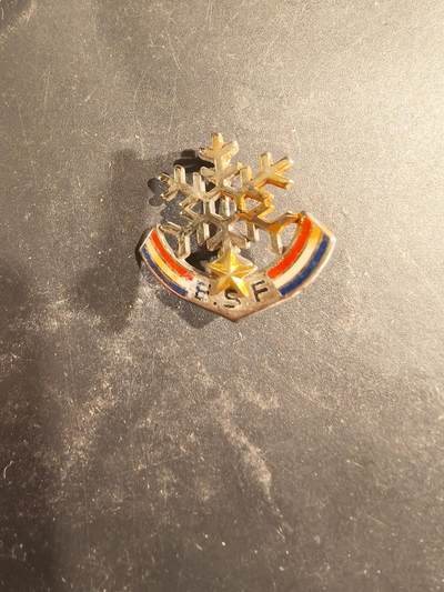 老王徽章第189期 - 法国山地滑雪学校证章