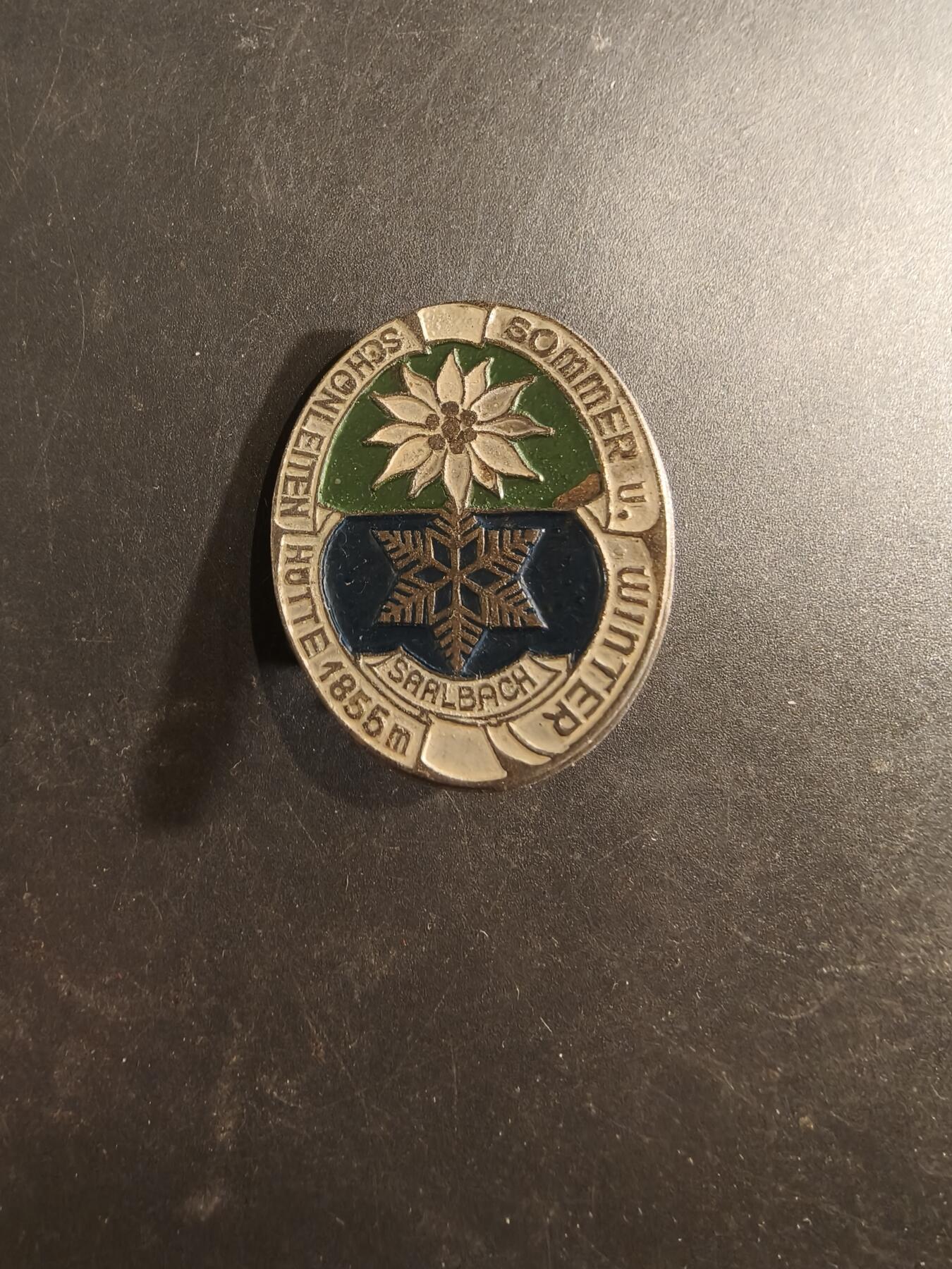 老王徽章第189期 奥地利萨利巴赫证章