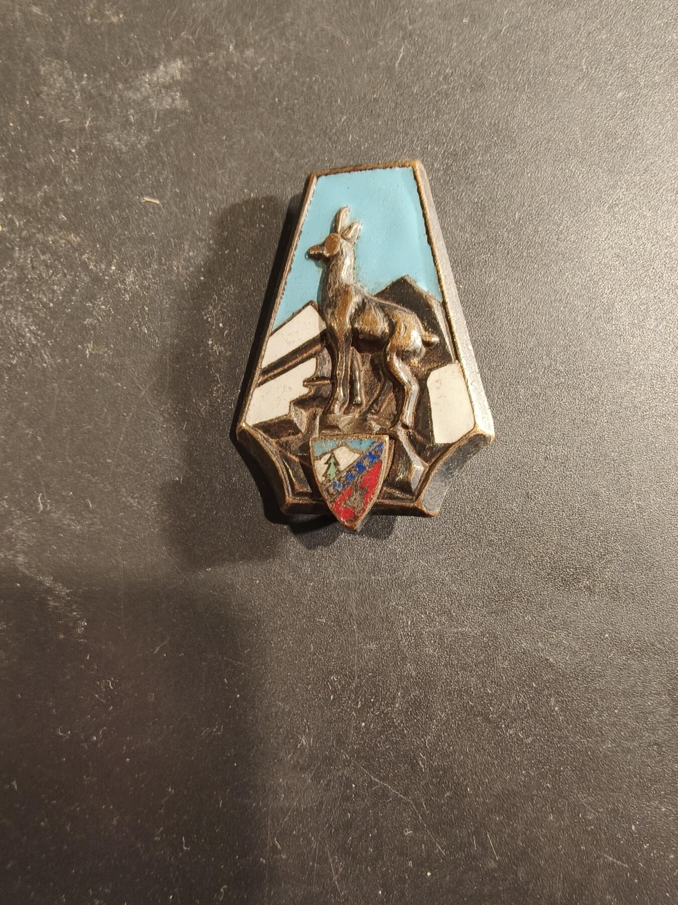 老王徽章第189期 法国阿尔卑斯山地运动中心证章