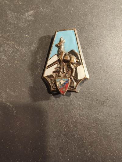 老王徽章第189期 - 法国阿尔卑斯山地运动中心证章