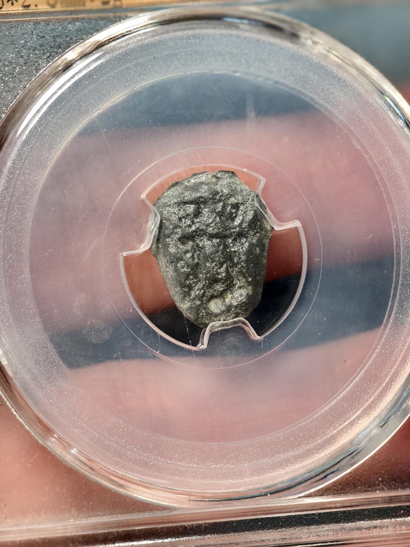 抚柳草堂-第十九期章牌钱币  奖章勋章限时免佣 满百包邮 放漏专场 战国 楚国 蚁鼻钱 闻德评级82分 高古币好品种