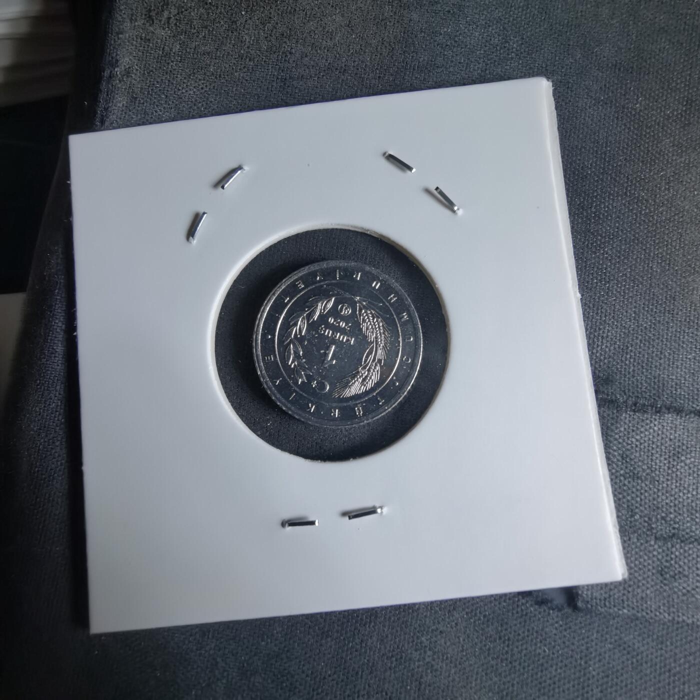 沼泽如烟--第1032场 土耳其小鸟