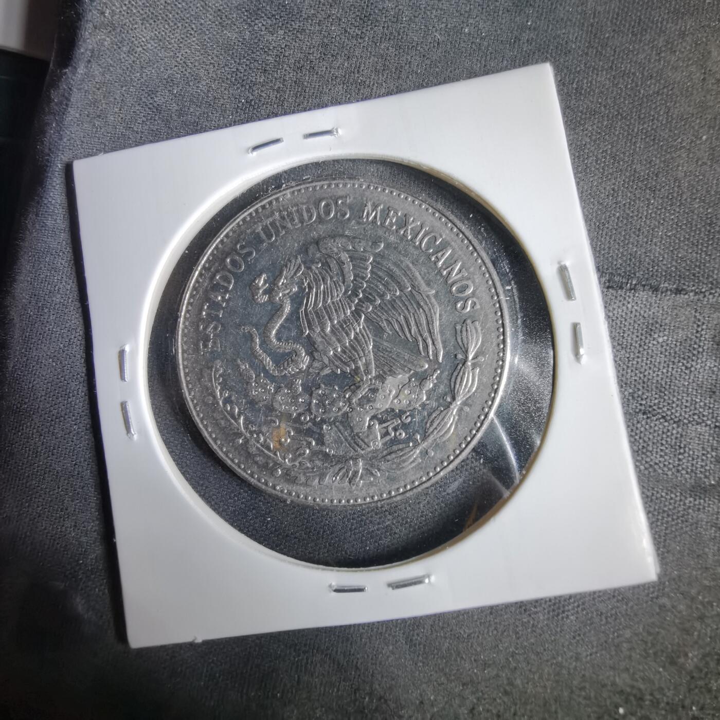 沼泽如烟--第1031场