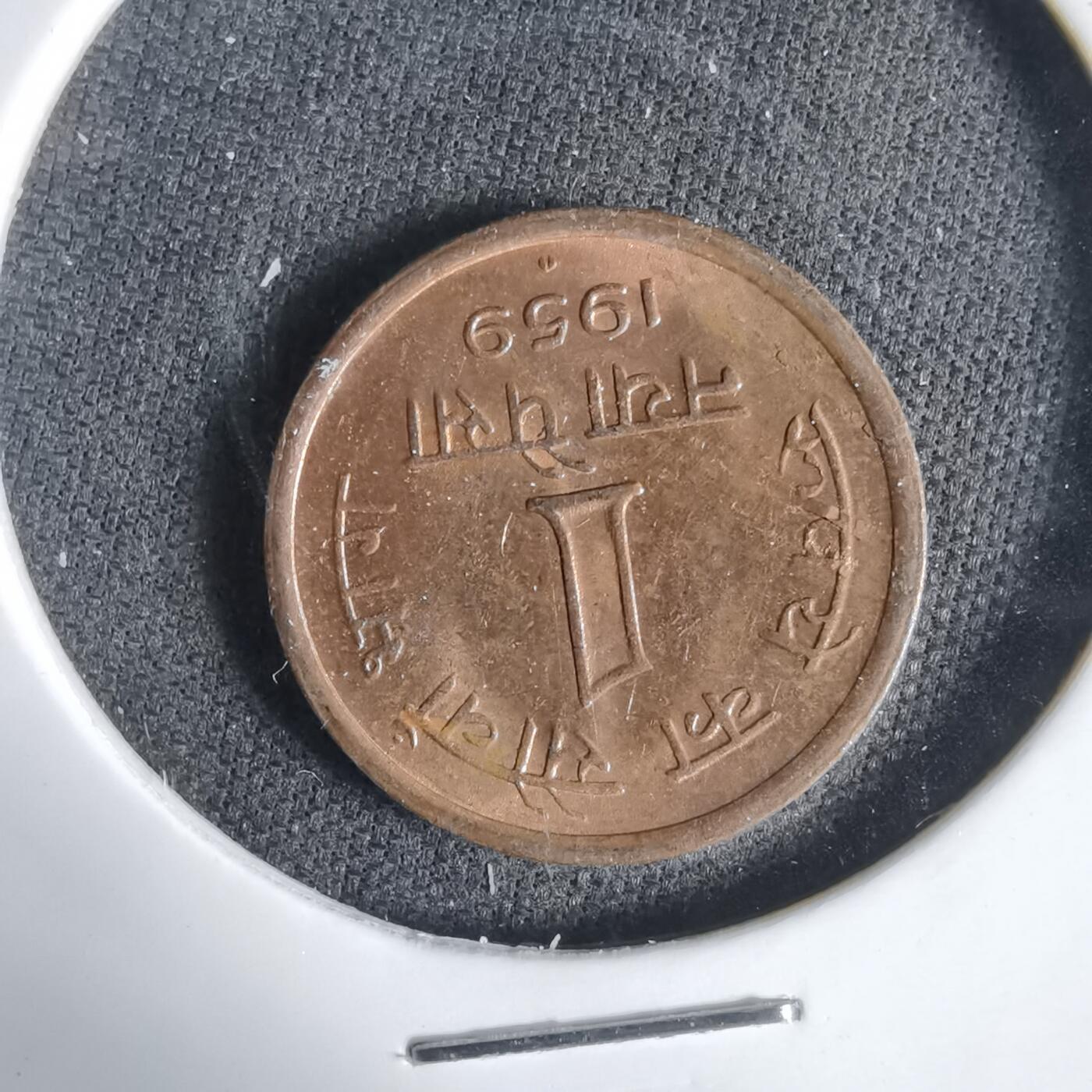 沼泽如烟--第1031场