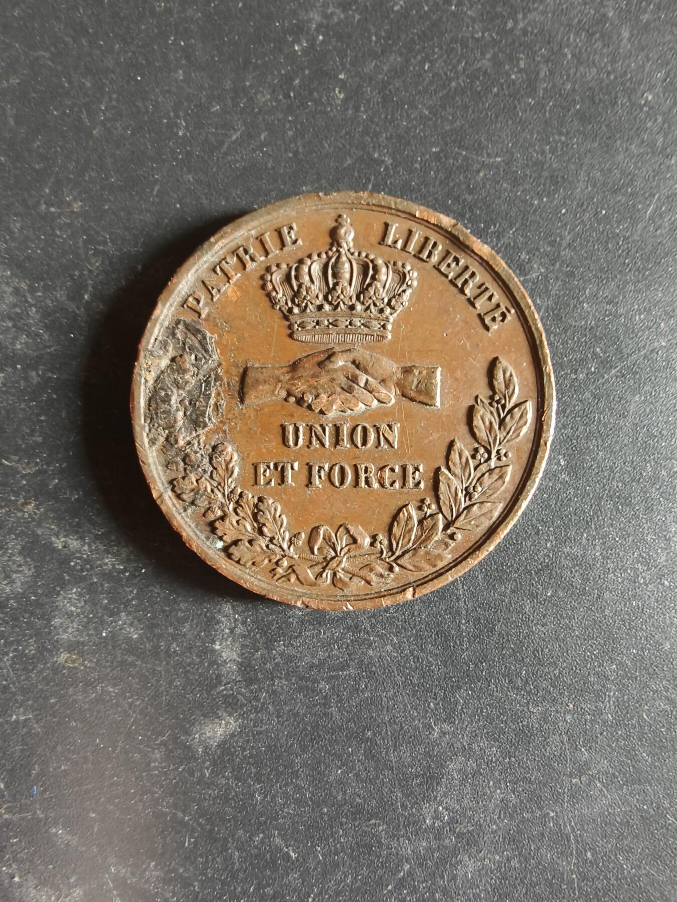 老王徽章第189期 法国南特市大铜章     直径31mm    重量18.3g